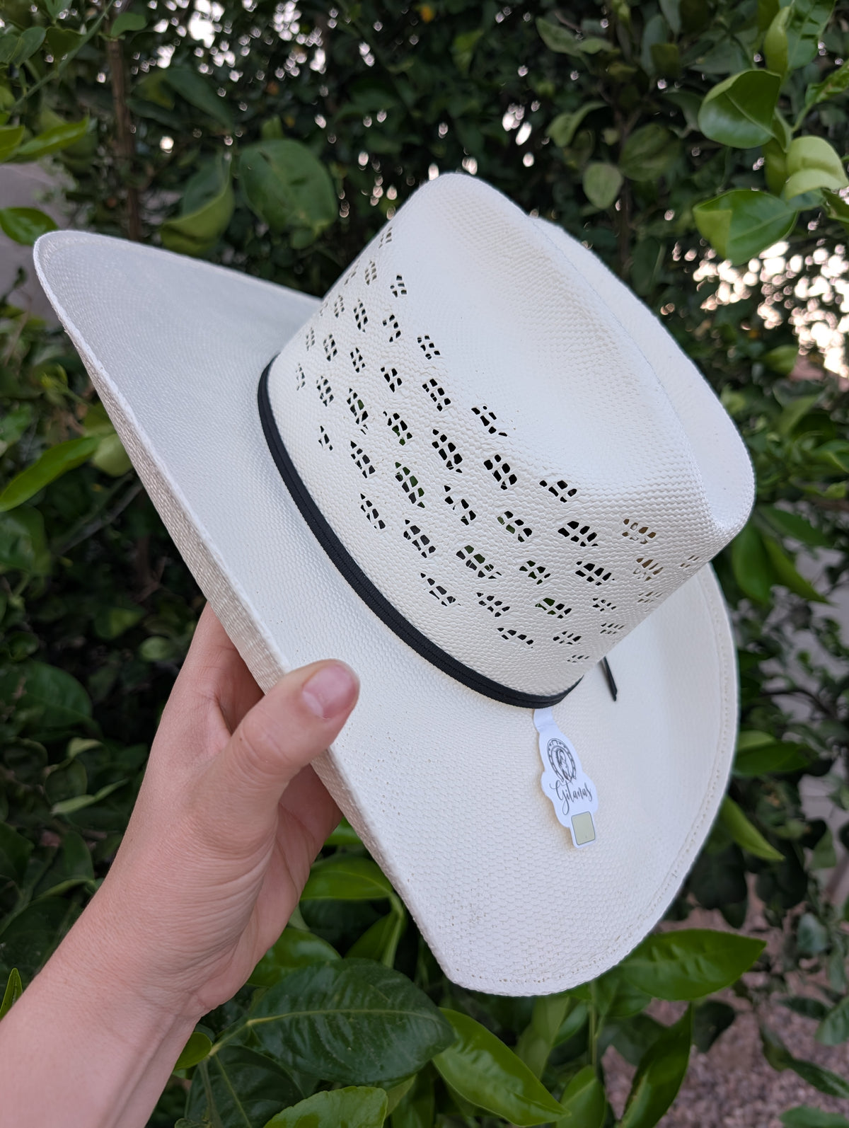 Sombrero
