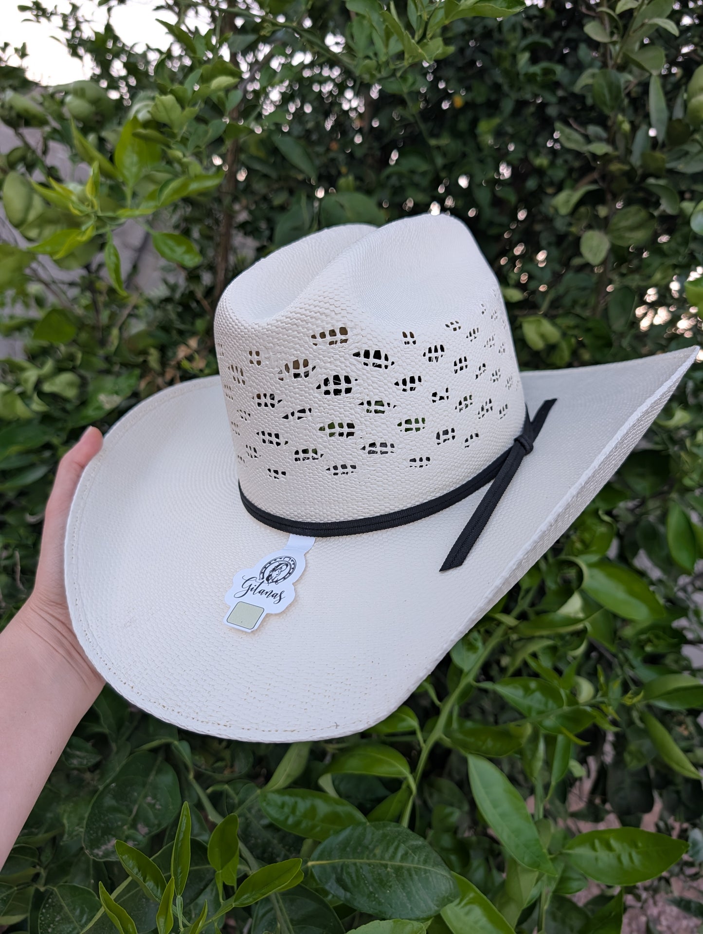 Sombrero